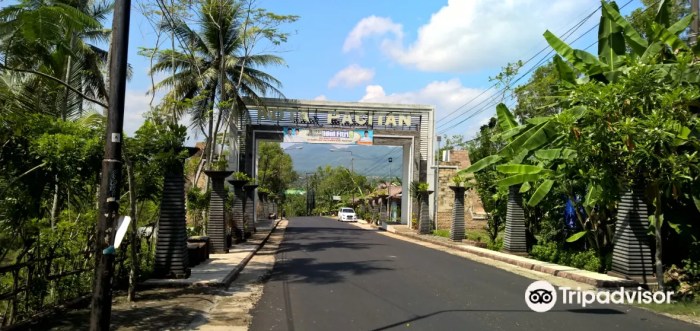 A Local’s Guide to the Best Eats in Pacitan