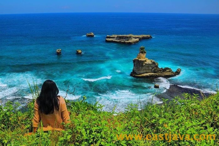 Beach pacitan java east