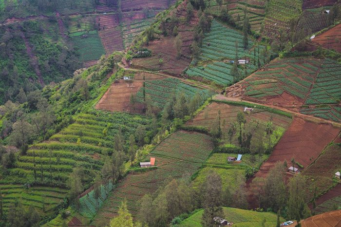 The Rise of Eco-Tourism in Pacitan, East Java