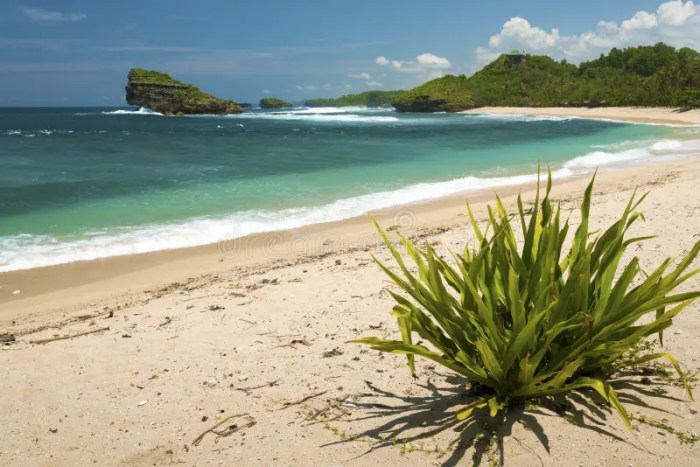 Pacitan tour gong cave beach