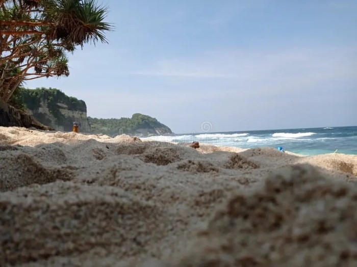 Exploring the Caves and Coastal Wonders of Pacitan