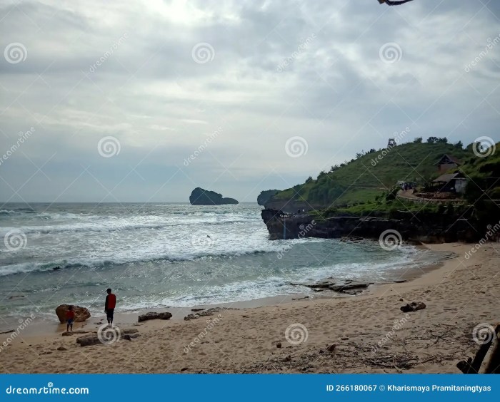 Pacitan java nusantaranews